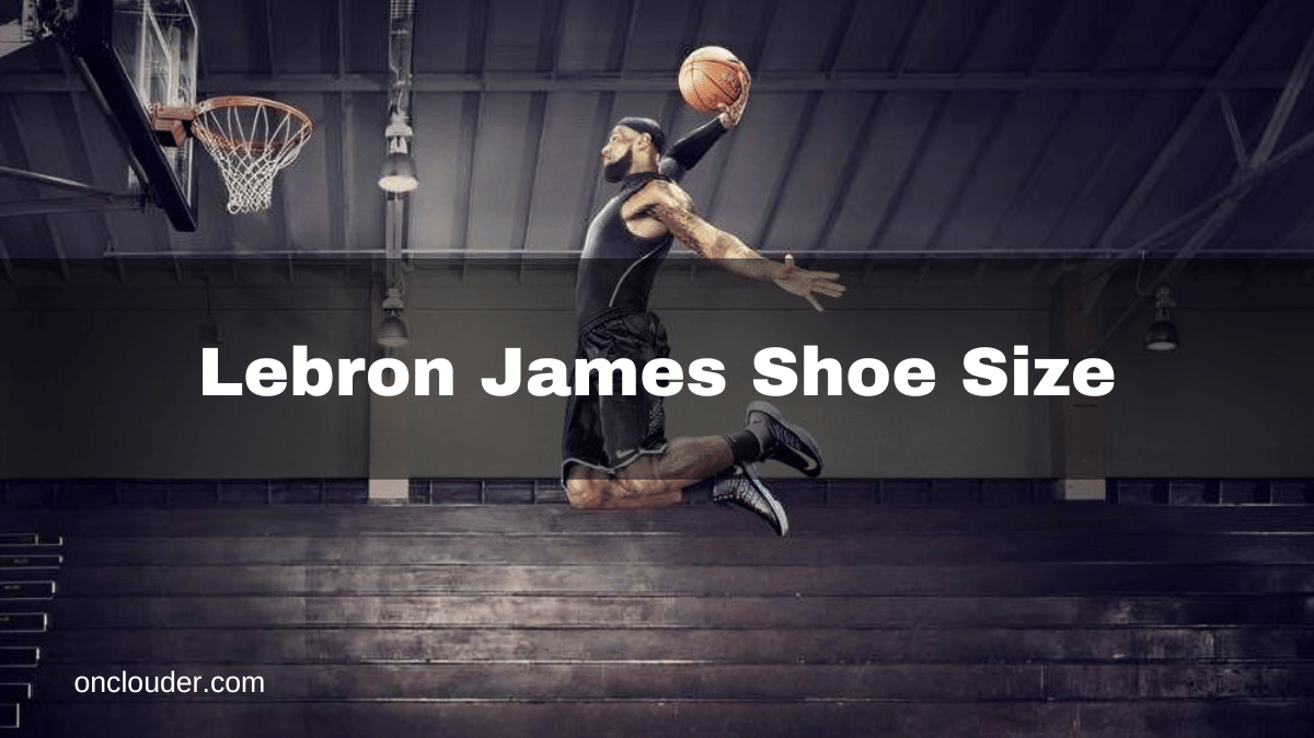 Lebron James Shoe Size